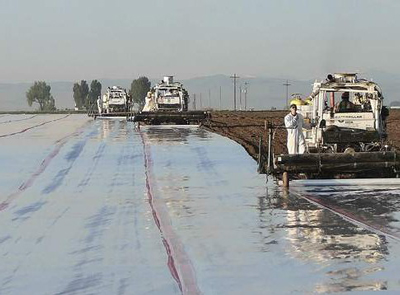 Methyl bromide fumigation has historically been used to control nematodes and other pests in a number of crops (USDA photo)