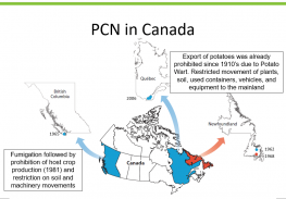 Potato Cyst Nematodes in Canada