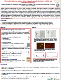 Molecular Characterization of the Expansin gene in Globodera pallida and Globodera ellingtonae