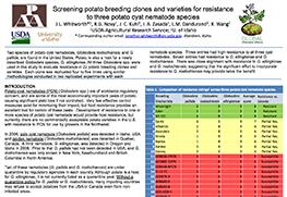 Screening potato breeding clones and varieties for resistance to three potato cyst nematode species